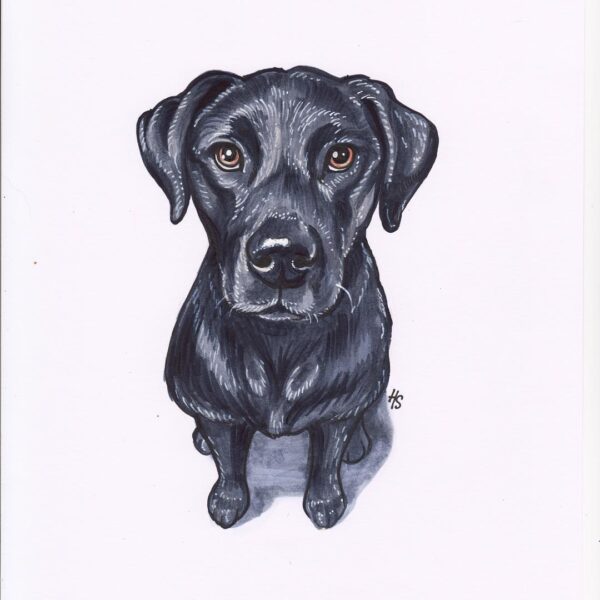 Handpainted Pet Portraits - Image 4