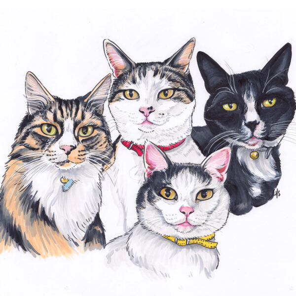 Christmas Pet Portraits - Image 5