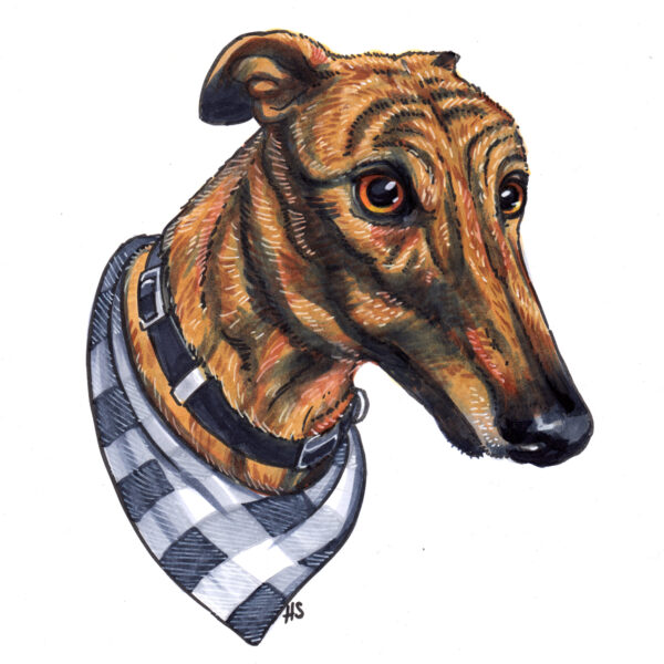 Christmas Pet Portraits - Image 3