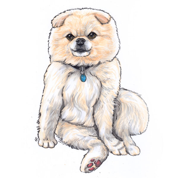 Handpainted Pet Portraits - Image 2