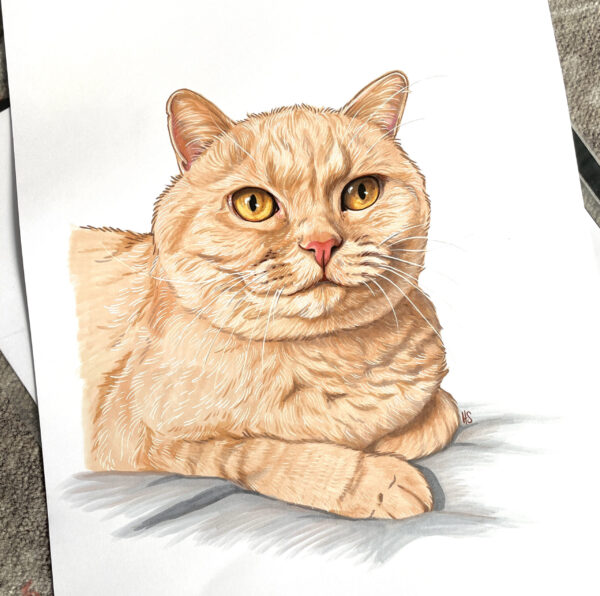Handpainted Pet Portraits - Image 5