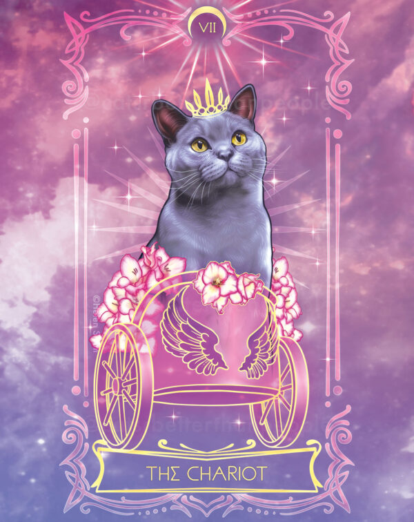 Cosmic Cat Tarot - Luxury Gold Prints - Image 3