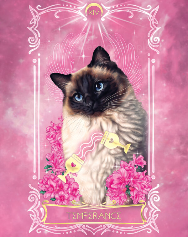 Cosmic Cat Tarot - Luxury Gold Prints - Image 18