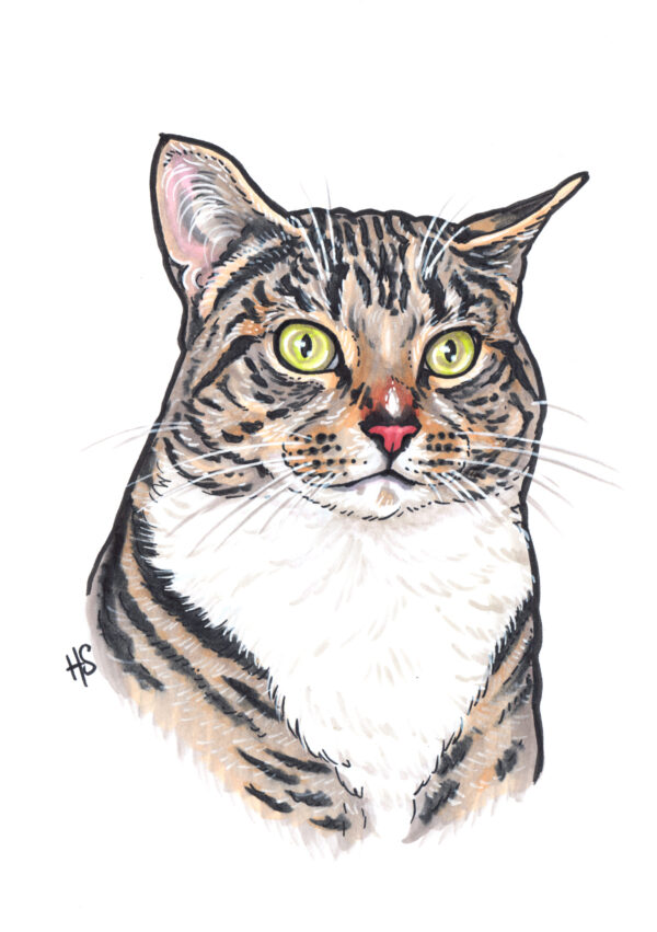 Handpainted Pet Portraits - Image 13