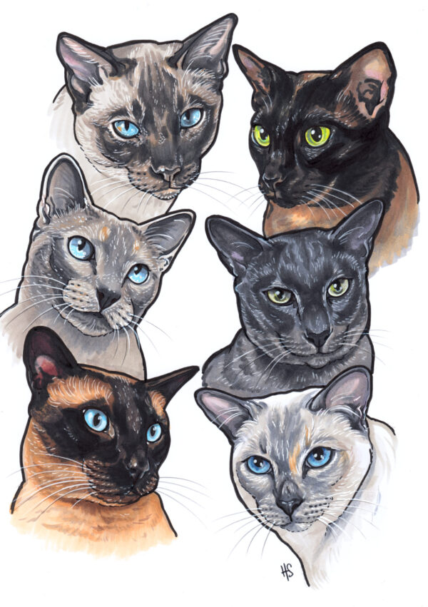 Handpainted Pet Portraits - Image 8