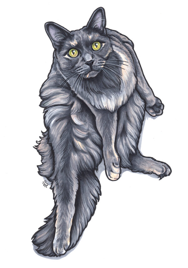Handpainted Pet Portraits - Image 10