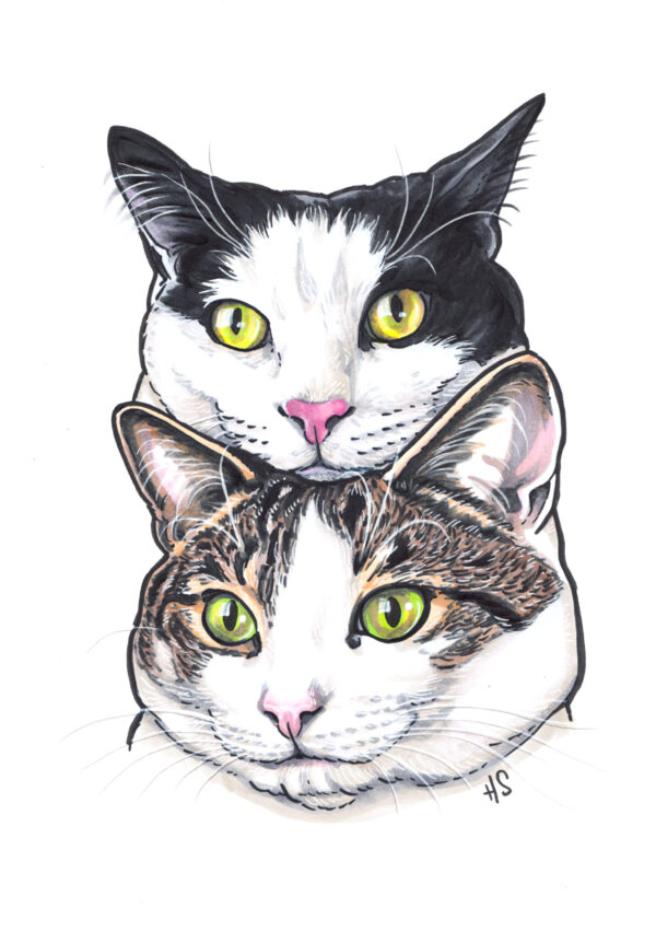 Handpainted Pet Portraits - Image 12