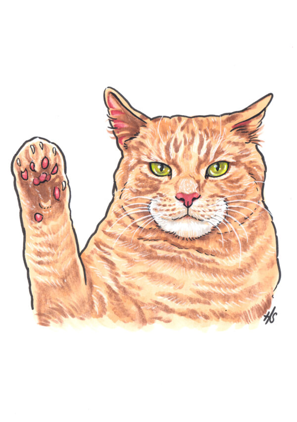Handpainted Pet Portraits - Image 11