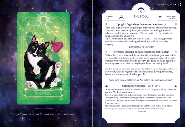 The Cosmic Cat Tarot- Digital Companion Book - Image 2